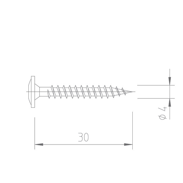 Upevňovací vrut - A2 nerez - 4 x 30 mm - drážka Torx Upevňovací vrut - A2 nerez - 4 x 30 mm - drážka Torx