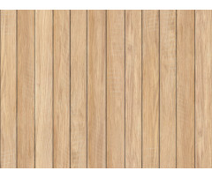 Obkladové panely do interiéru Vilo Motivo PD250 Modern - Natural Plank Obkladové panely do interiéru Vilo Motivo PD250 Modern - Natural Plank
