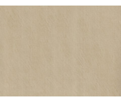 Obkladové panely do interiéru Vilo - Motivo PD250 Classic - Sandstone Beige Obkladové panely do interiéru Vilo - Motivo PD250 Classic - Sandstone Beige