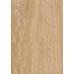 Plastová palubka Profi Nordica - WOODEC Turner Oak Walnut (165 mm) Plastová palubka Profi Nordica - WOODEC Turner Oak Walnut (165 mm)